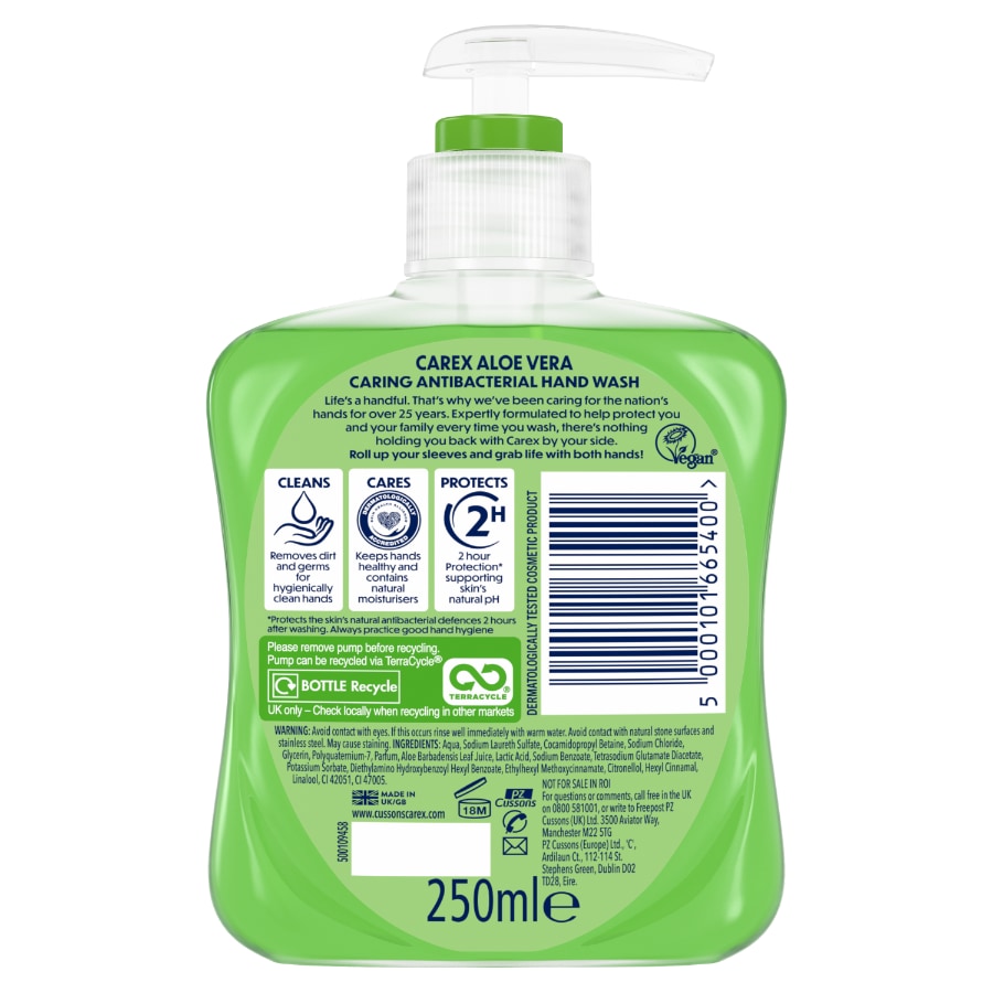 Carex Aloe Vera Antibacterial Hand Wash RP 250ml