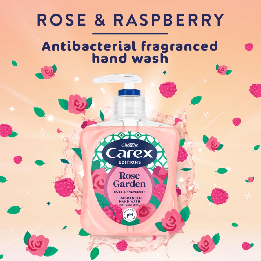 Carex Editions Antibacterial Hand Wash Rose Garden 250ml